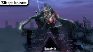 Durnehviir