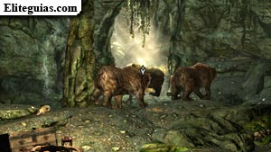 osos