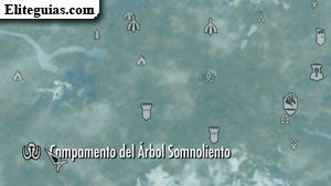 Campamento del &Aacute;rbol Somnoliento
