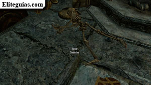 Esqueleto de Sinderio