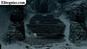 Forma de hielo