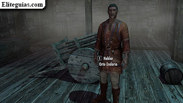 Orto Endario
