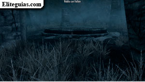Re&uacute;nete con Falion al amanecer