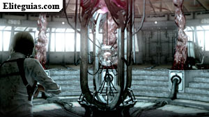 cerebro