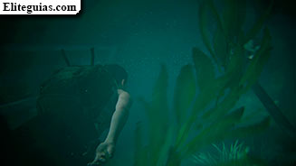 El acuario