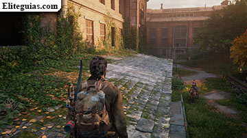 Salud: Esterilización