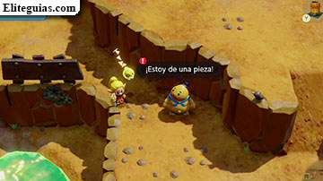 ¡A la carrera goron!