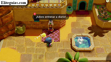Entrenamiento gerudo