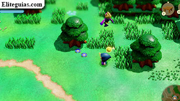 Llanura de Hyrule