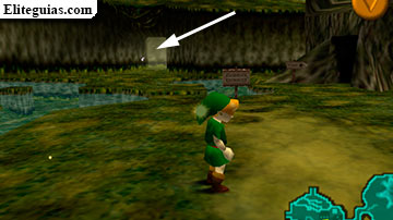 entrada Deku Tree