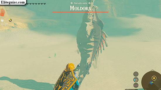 A la caza del moldora