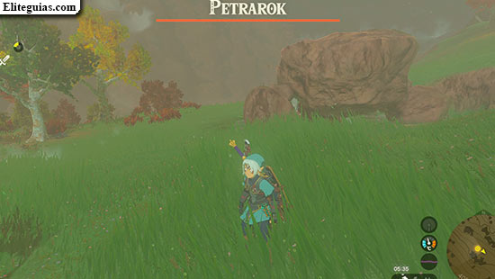 A la caza del petrarok