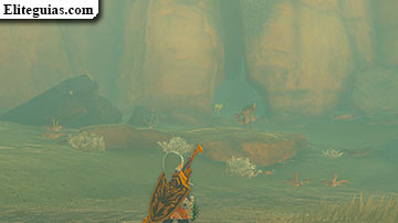 Infortunio en el cañón de Gerudo