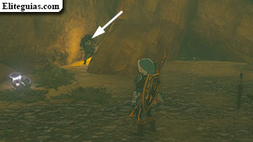 Infortunio en el ca&ntilde;&oacute;n de Gerudo