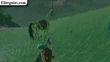 La petici&oacute;n del cuidador de caballos