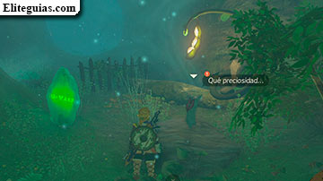 La piedra y las manzanas