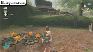 casa en Ordon