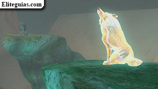 lobo dorado