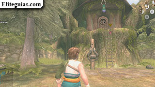 skulltula en la casa de Link