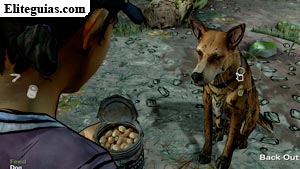 Finding Food