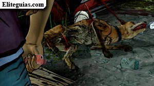 Finding Food