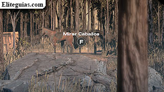 caballos