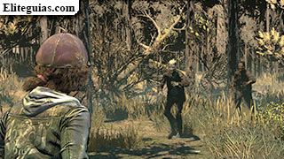 caminantes en el bosque