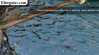 pescando peces con lanza