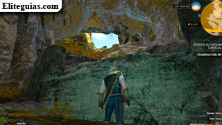 buscando el nido del wyverno