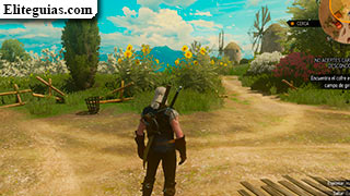 campo de girasoles