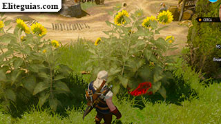 cofre del campo de girasoles
