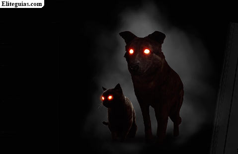 El gato y el perro negros