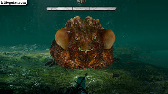 Sapo