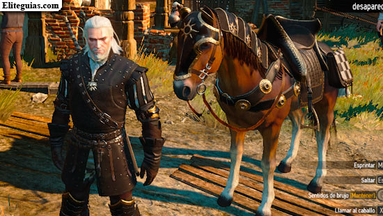 Set de Armadura Nilfgaardiana