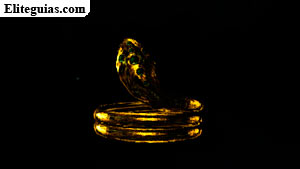 Brazalete de víbora negra