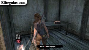 Ra&iacute;z de gobo seca