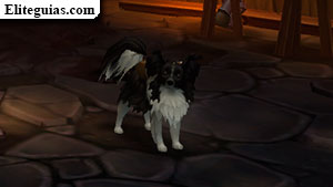 Papillon