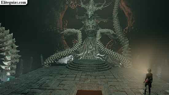 Nautilus