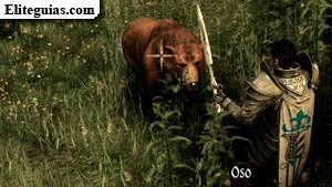 Oso