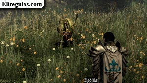 Zigofila