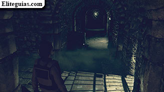 Dentro de Albion