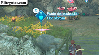 Doctor en apuros