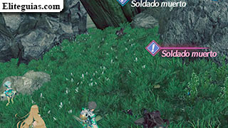Paradero desconocido