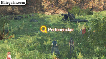 Luto y determinación