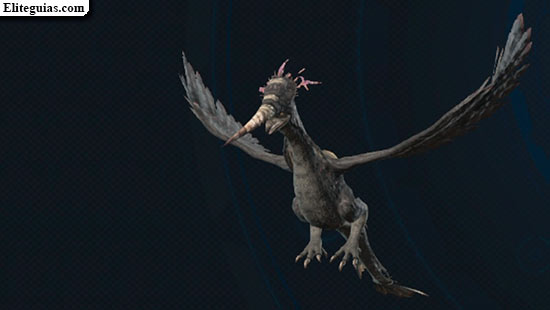 Auravis explosiva
