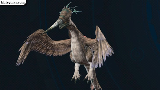 Auravis usurpadora