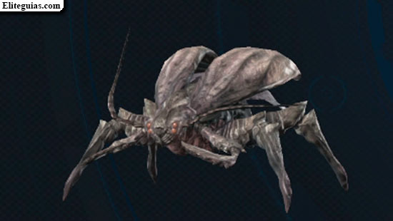 Blatta bombardera