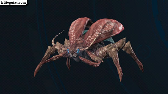 Blatta celeste