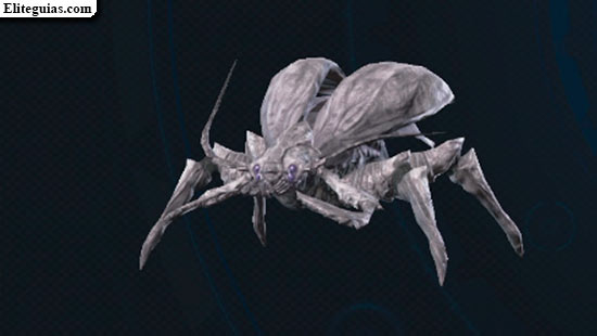 Blatta luna