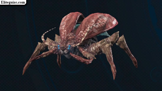 Blatta reptadora